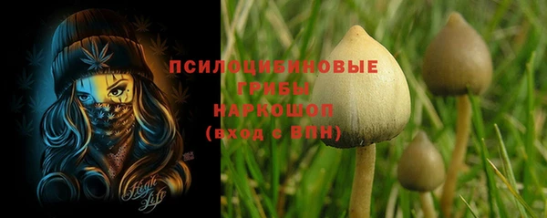 гашик Осинники