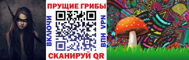 Псилоцибиновые грибы Psilocybe  Черепаново 